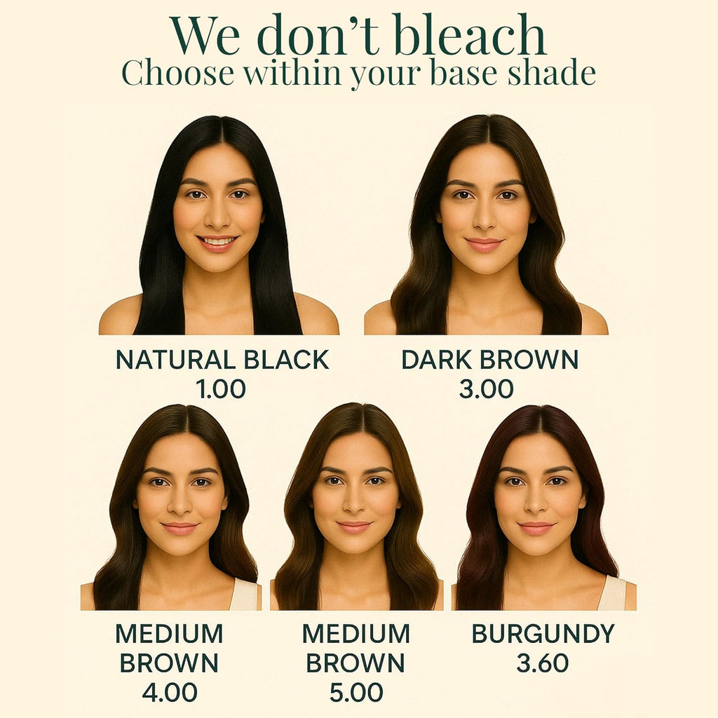 Organic Black Hair Color Gel 240ml | Ammonia-Free, 100% Grey Coverage