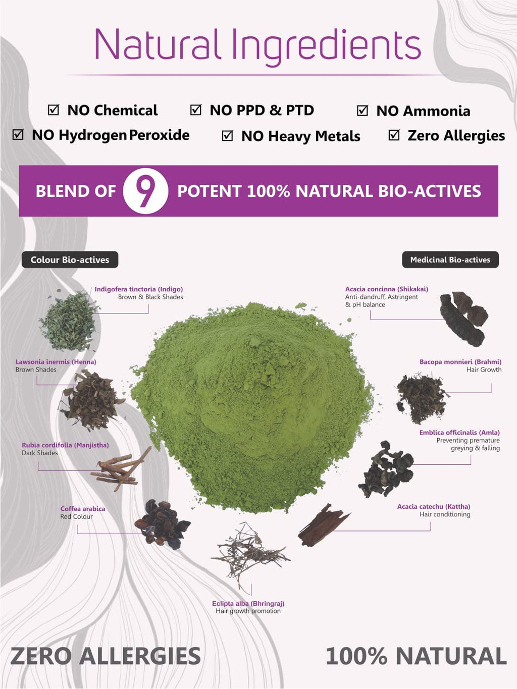 Vegetal Bio Soft Black Hair Color 150g Ammonia-Free Organic Kit