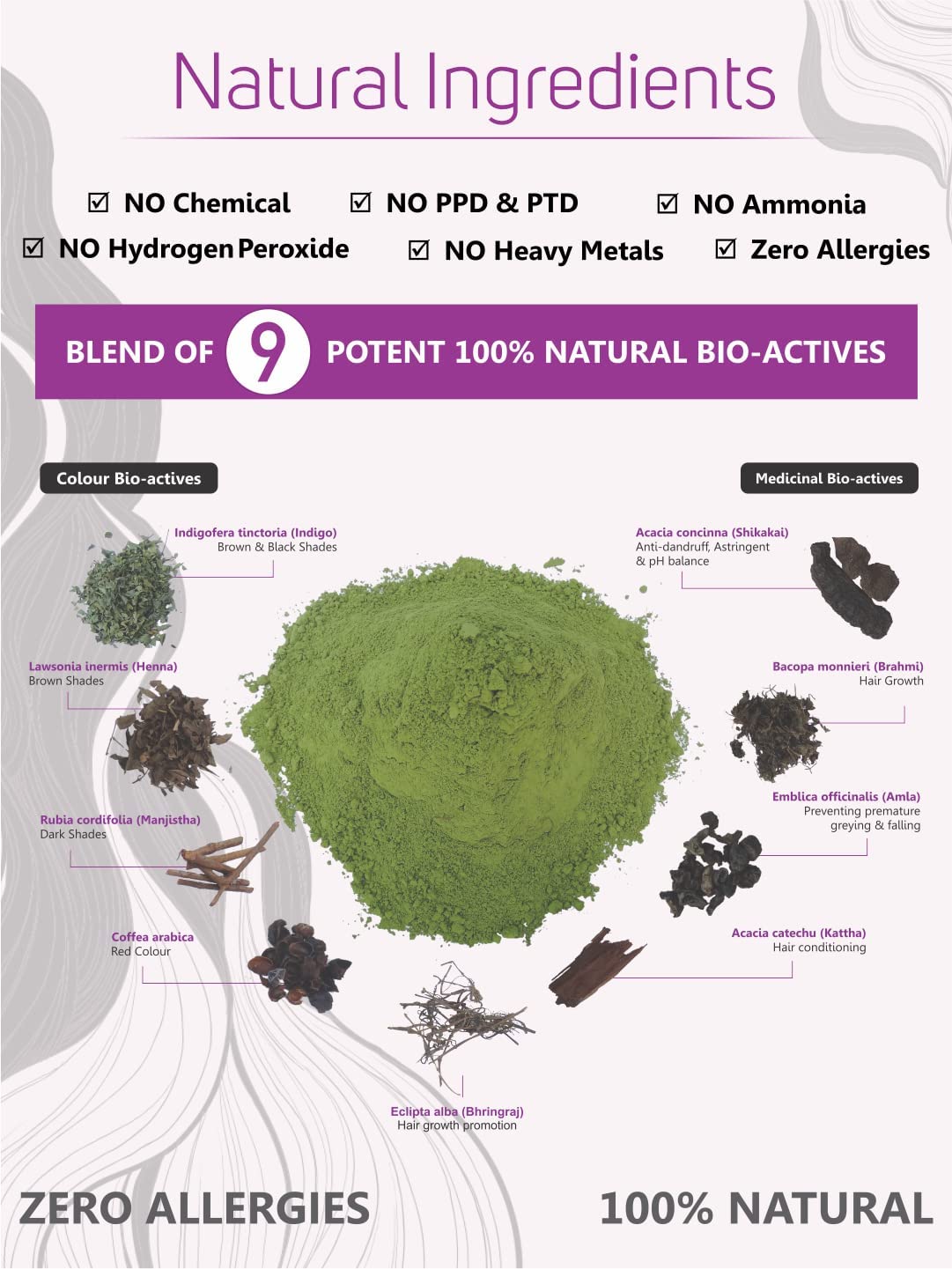 Vegetal Bio Soft Black Hair Color 150g Ammonia-Free Organic Kit