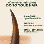 Organic Black Hair Color Gel 240ml | Ammonia-Free, 100% Grey Coverage