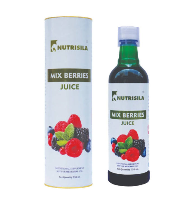 Extasy Nutrisila Mix Berries Juice Hover Image