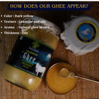 Tatsat Full Moon Day Ghee From Forest Gazing Amruth Mahal A2 Cows | Pure A2 Ghee, Natural & Healthy, Non-GMO