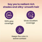 Streax Professional Hue Magic Developer For Hair Colour - 10 Volume 3%