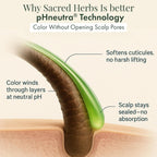 Natural Black Hair Color Gel 180ml Ammonia-Free Organic Long-Lasting