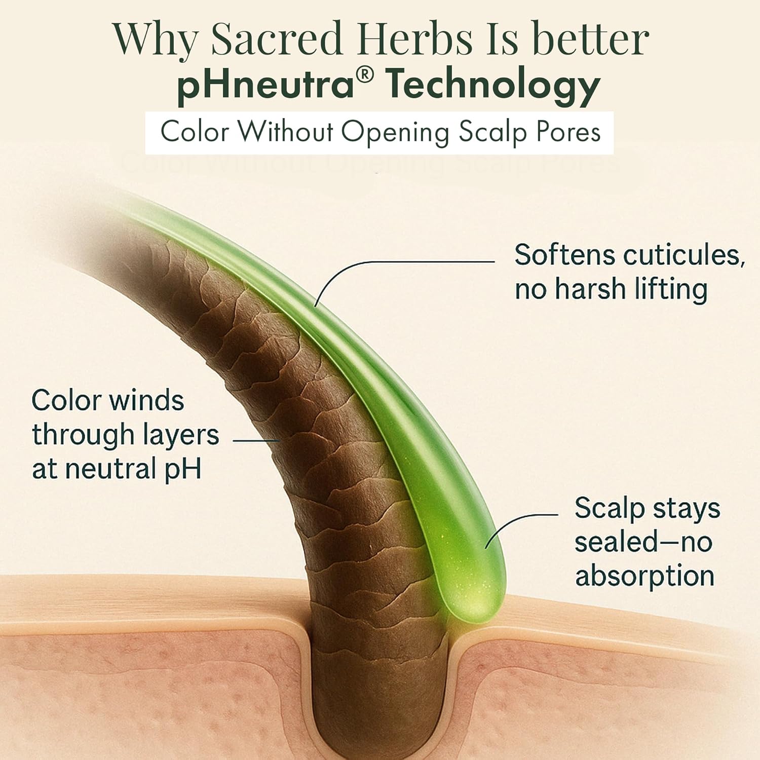 Organic Black Hair Color Gel 240ml | Ammonia-Free, 100% Grey Coverage