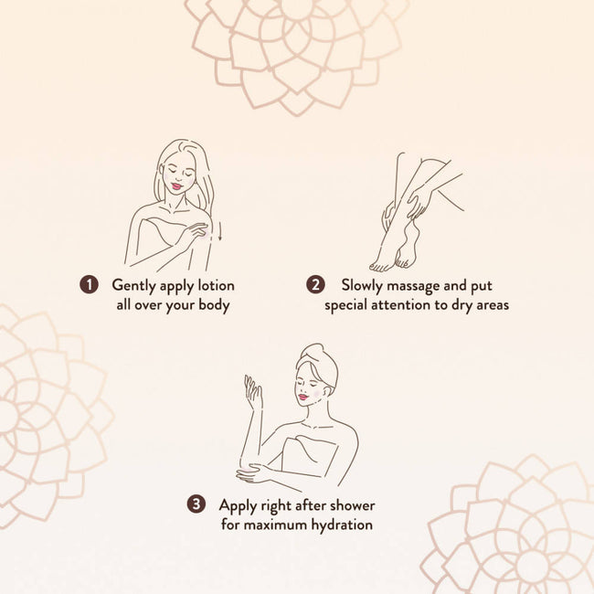 Lafz Cocoa Butter Body Lotion Main Image