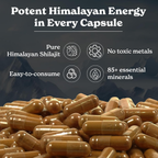 Better Alt Himalayan Sj Capsules