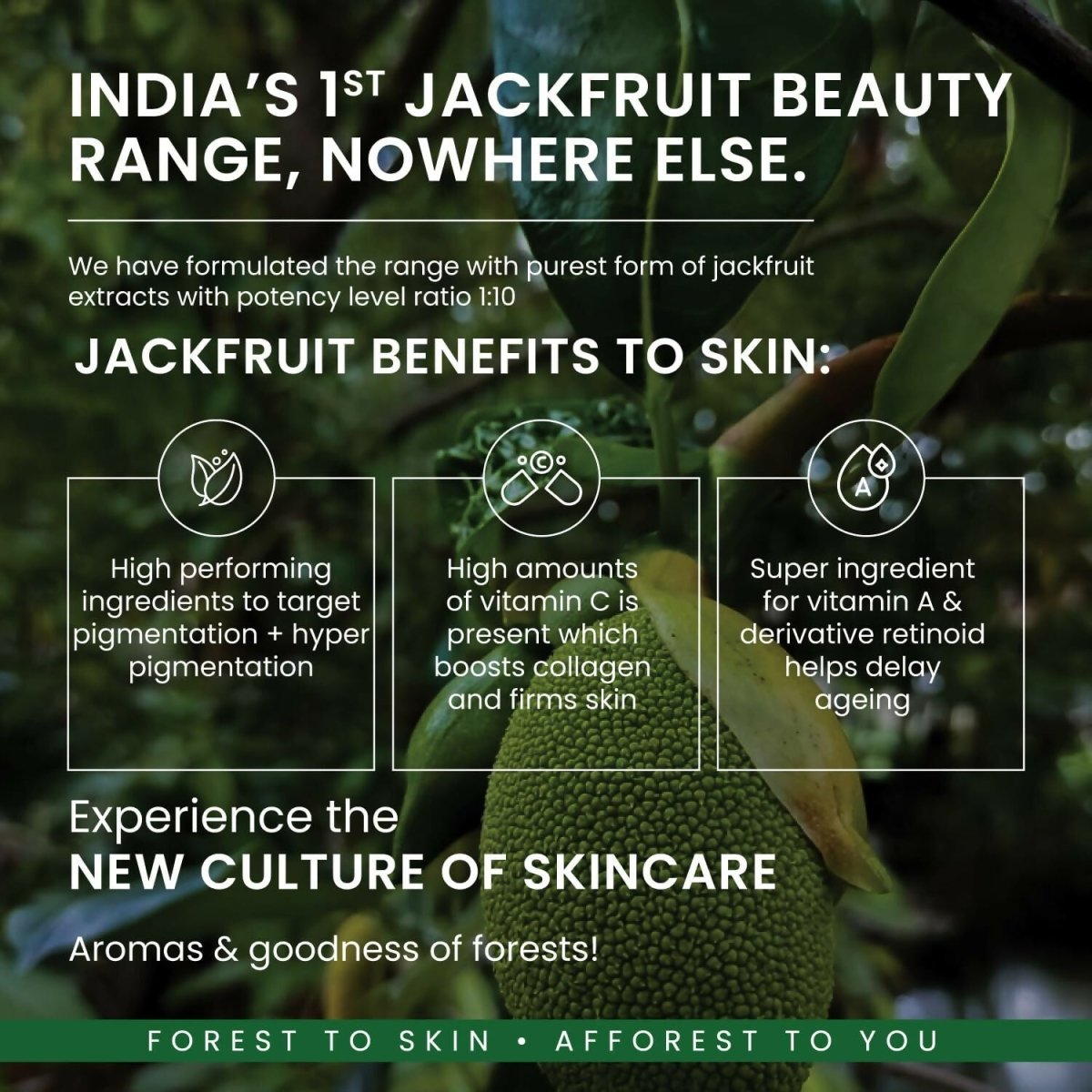 Afforest Jackfruit Under Eye Creme with 2% Vitamin C, 10% Jackfruit Seed