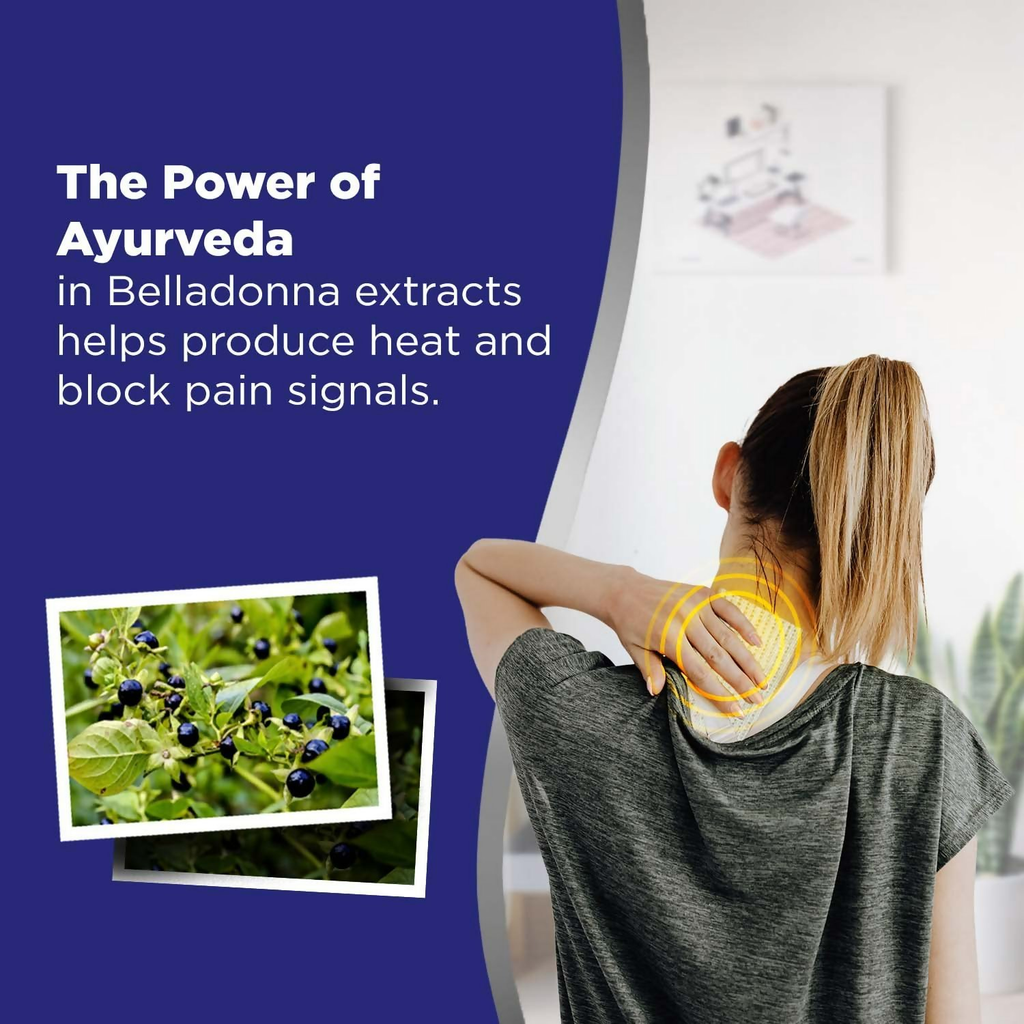 Hansaplast Lion Heat Plaster Back and Neck Pain Relief Patches Set of 30 pcs