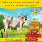 Gavyamart Bhadwa Ghee (Bhadrapad)