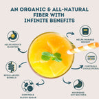 Wellbeing Nutrition Daily Fiber Powder - Vanilla Berry & Pina Colada Combo