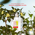 L'Occitane Osmanthus Body Lotion