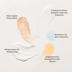 Raaga Professional Anti Aging Single Use Facial Kit