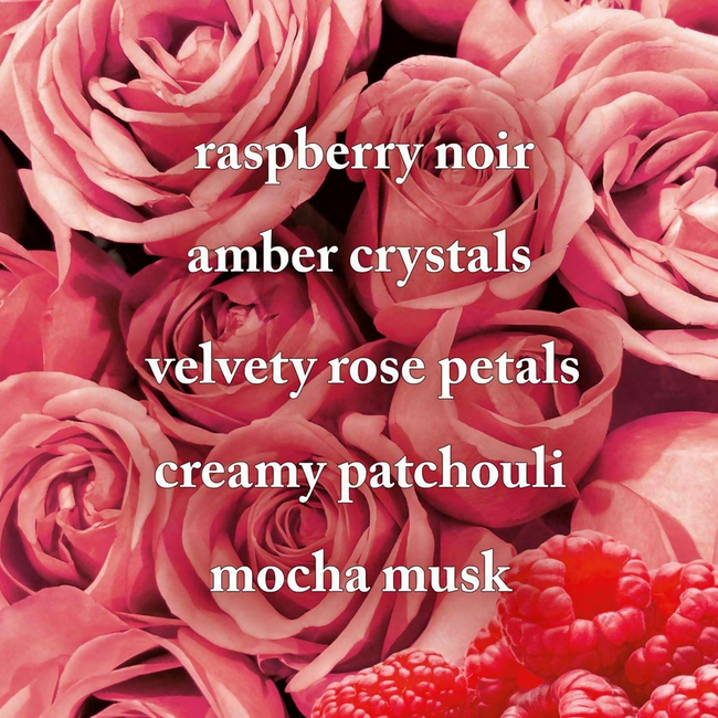 Bath & Body Works Into The Night Gentle & Clean Foaming Hand Soap Main Image