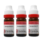 Dr. Reckeweg Lycopodium Dilution