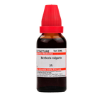 Dr. Willmar Schwabe India Berberis vulgaris Mother Tincture Q
