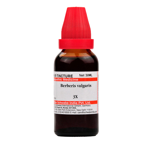 Dr. Willmar Schwabe India Berberis vulgaris Mother Tincture Q Main Image