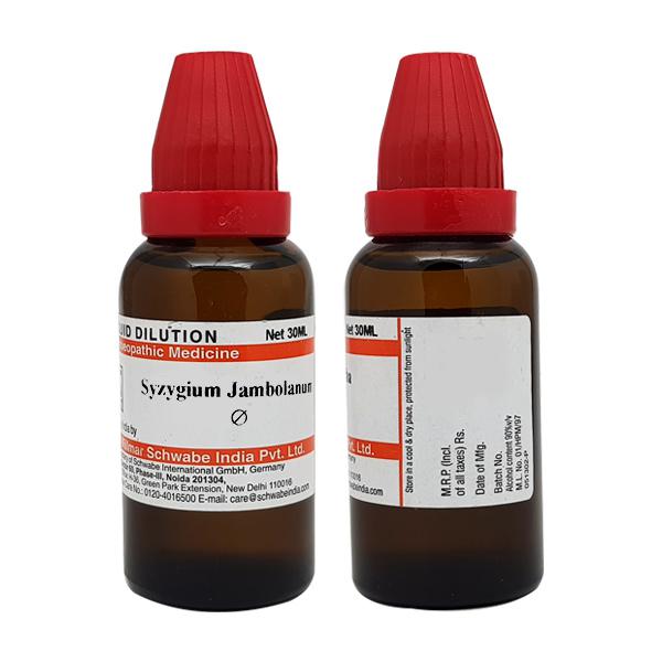 Dr. Willmar Schwabe India Syzygium Jambolanum Mother Tincture Q Main Image