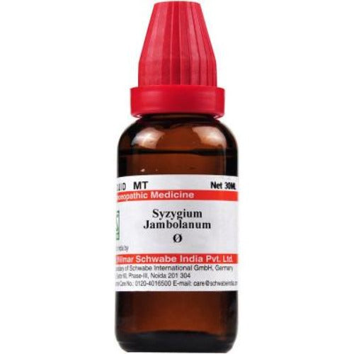 Dr. Willmar Schwabe India Syzygium Jambolanum Mother Tincture Q Hover Image