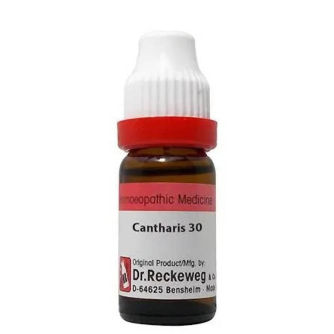 Dr. Reckeweg Cantharis Dilution Main Image