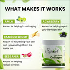 Sprowt Plant Based Collagen