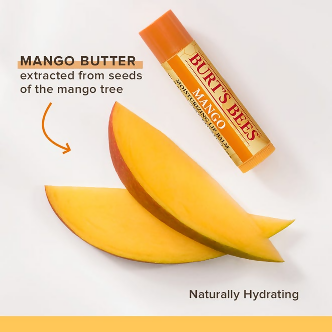 Burt's Bees Natural Moisturizing Lip Balms (Coconut & Pear and Mango)