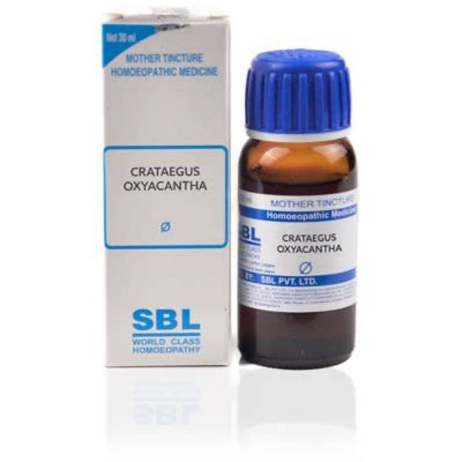 SBL Homeopathy Crataegus Oxyacantha Mother Tincture Q Hover Image