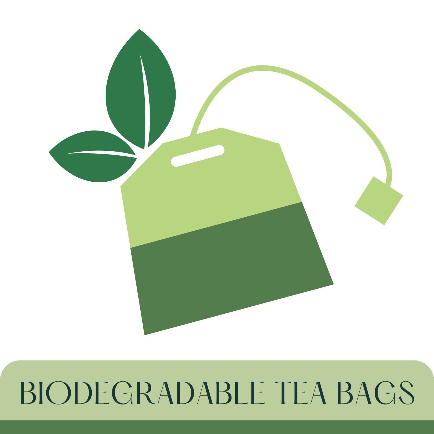 Satvi Wellness Beetroot Powder Pouches