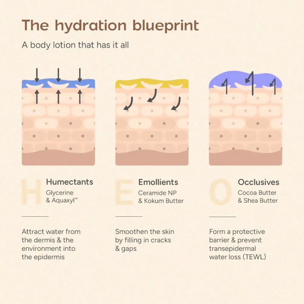 Arata Ceramide Body Lotion for Dry and Compromised Skin