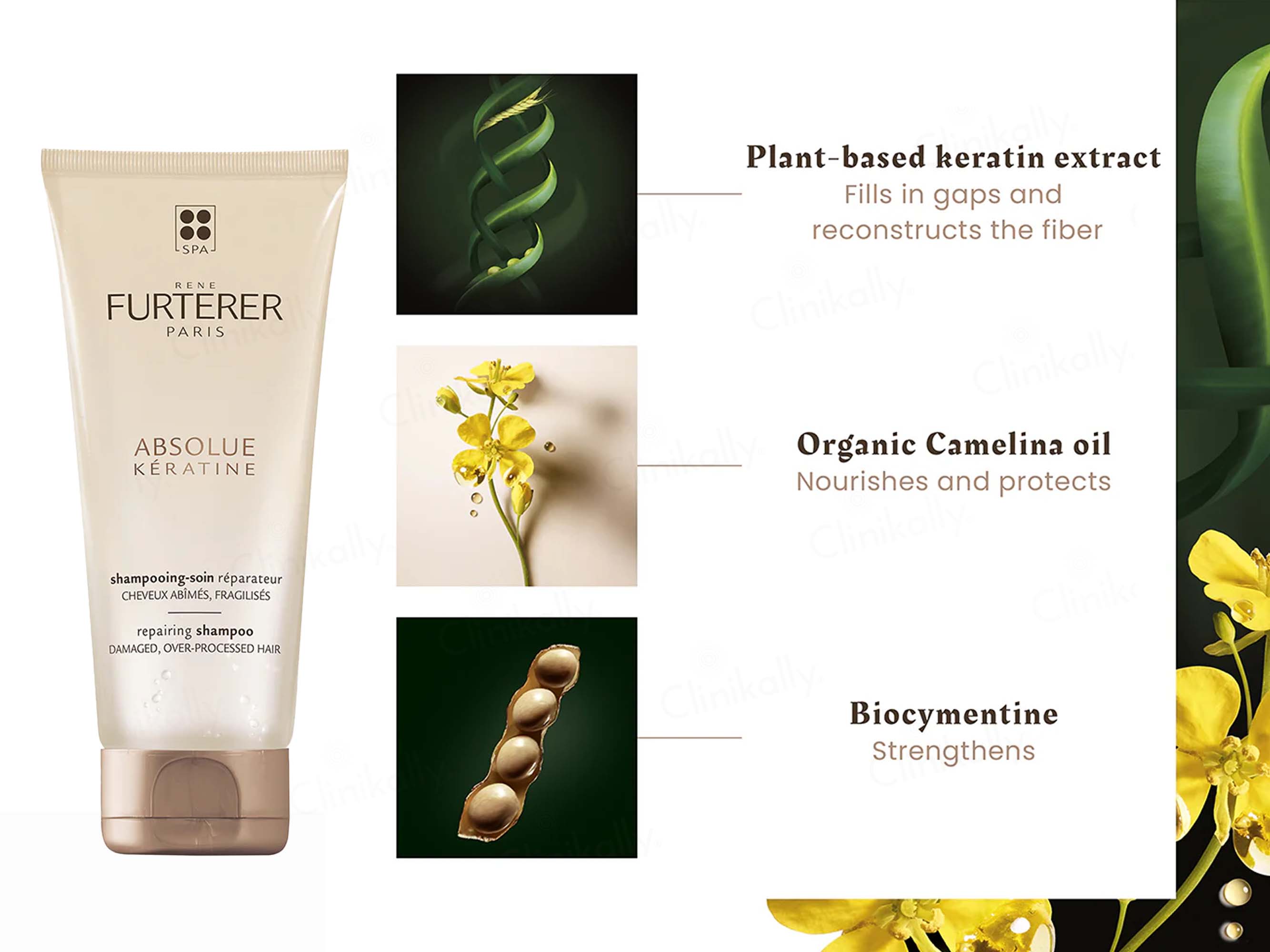 Rene Furterer Absolue Keratine Repairing Shampoo