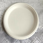 Disposable Round Plane Plates Big
