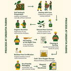 Sreshta Farms Flax Seeds Powder (Avisa Karam Podi)