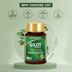 Jagat Pharma Giloy Extract Plus Capsule | Immunity Booster