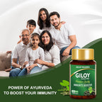 Jagat Pharma Giloy Extract Plus Capsule | Immunity Booster