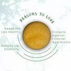 FOY Naturals Coco Mango Lip Scrub