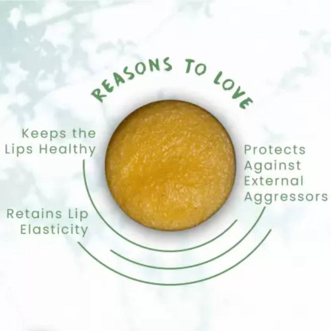 FOY Naturals Coco Mango Lip Scrub Main Image
