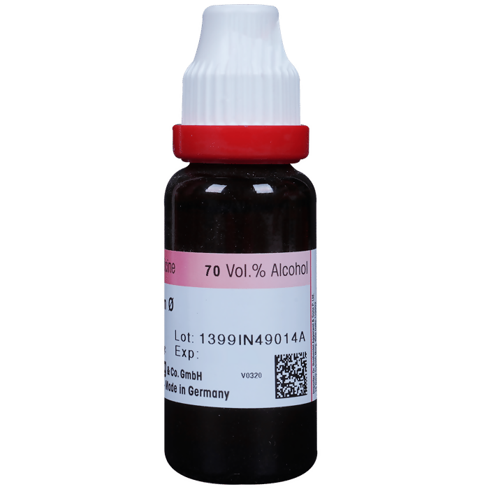 Dr. Reckeweg Allium Sativum Mother Tincture Q