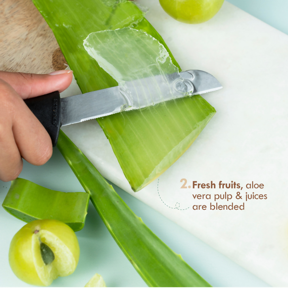 Nat Habit Flax Walnut Malai Face Moisturizer