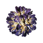 Tea Trunk Blue Pea Flowers Natural Anti-Oxidant Butterfly Pea Flower Tisane Green Tea