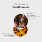 L'Occitane Moisturizing 15% Shea Butter Body Rich Lotion