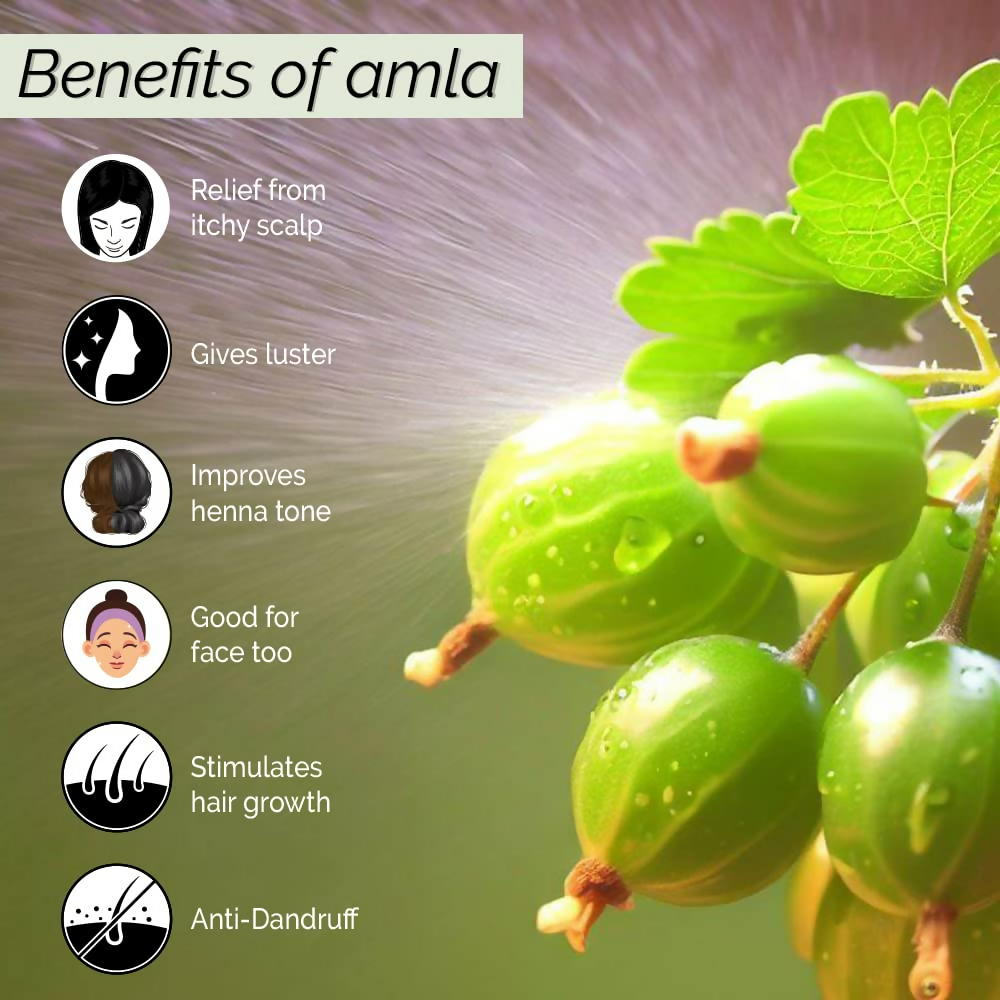 Pyoura Itchy Scalp Hair Growth Amla Hair Spray Serum Mist