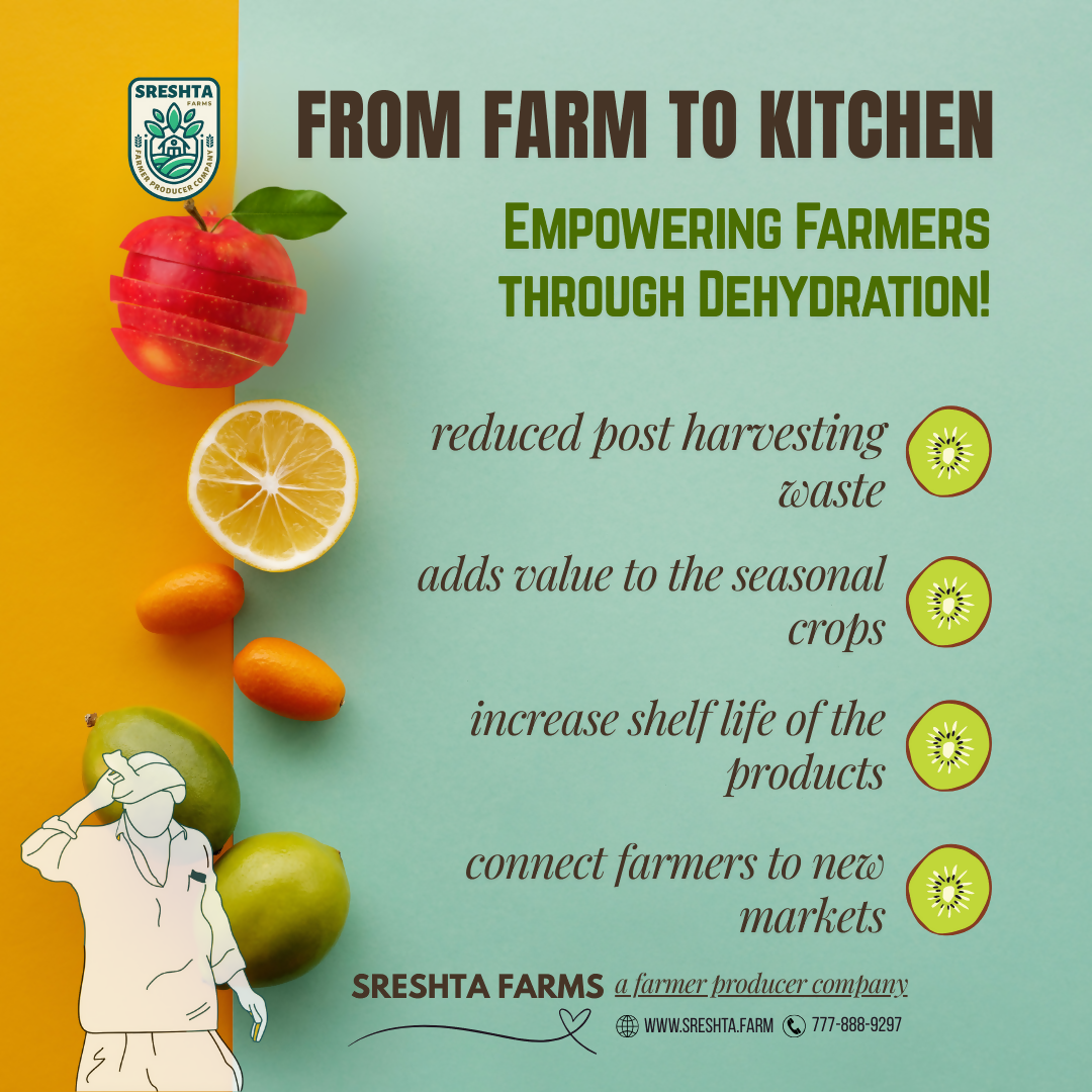 Sreshta Farms Instant ABC Juice Powder