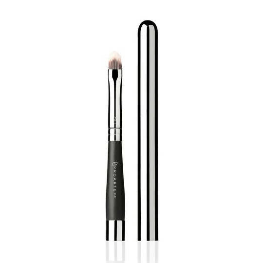 Proarte Retractable Lip Brush PL-37 Hover Image