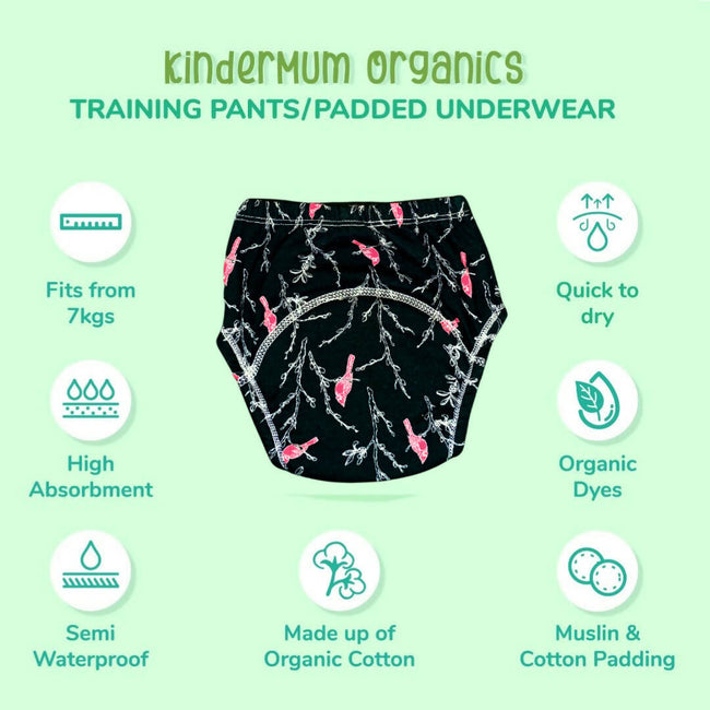 Kindermum Cotton Padded Pull Up Training Pants/ Padded Underwear For Kids Rugby Sparrow-Set of 2 Pcs Main Image