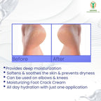 Adonis DS Soft Cream