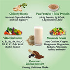 Kapiva Ayurveda Vegan Protein Post-Workout Recovery Cookies & Cream