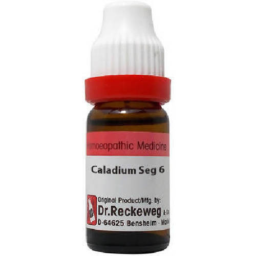 Dr. Reckeweg Caladium Seg Dilution Hover Image