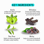 Muuchstac Cocoalo Anti-Dandruff & Anti-Hairfall Shampoo