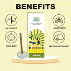 Shuddh Natural Ashwagandha & Turmeric Bambooless Incense Stick