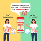 Satya Pharmaceuticals Ayurveda Windpass Pachak Churan